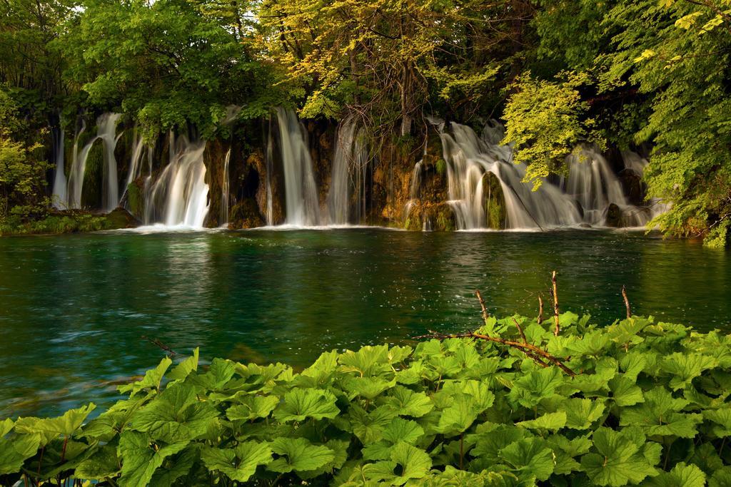 House Plitvice Villa พลิตวิชกา เยเซรา ห้อง รูปภาพ